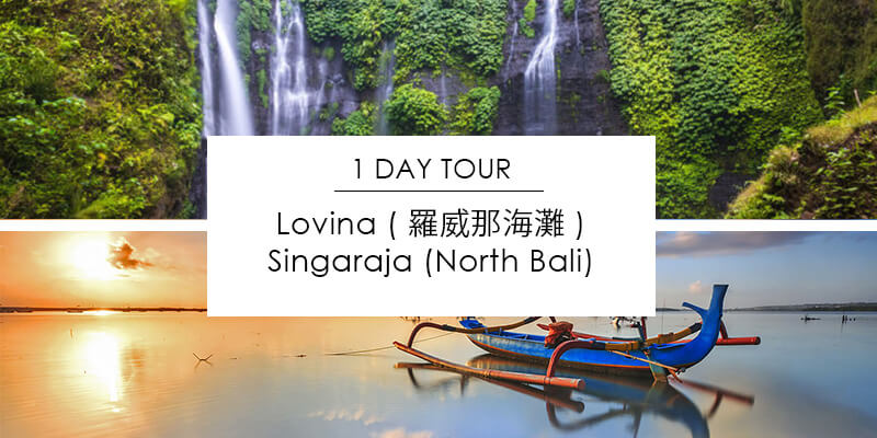 1 Day Tour – 罗威那海滩