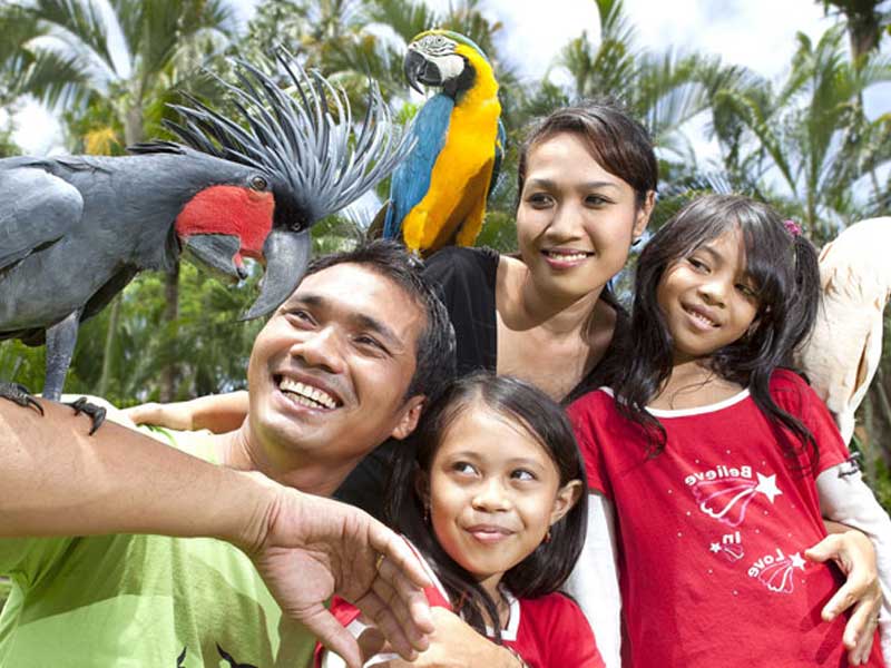 bali-bird-park
