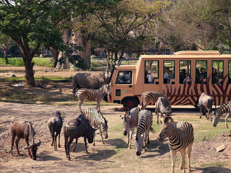 bali-safari-marine-park-1