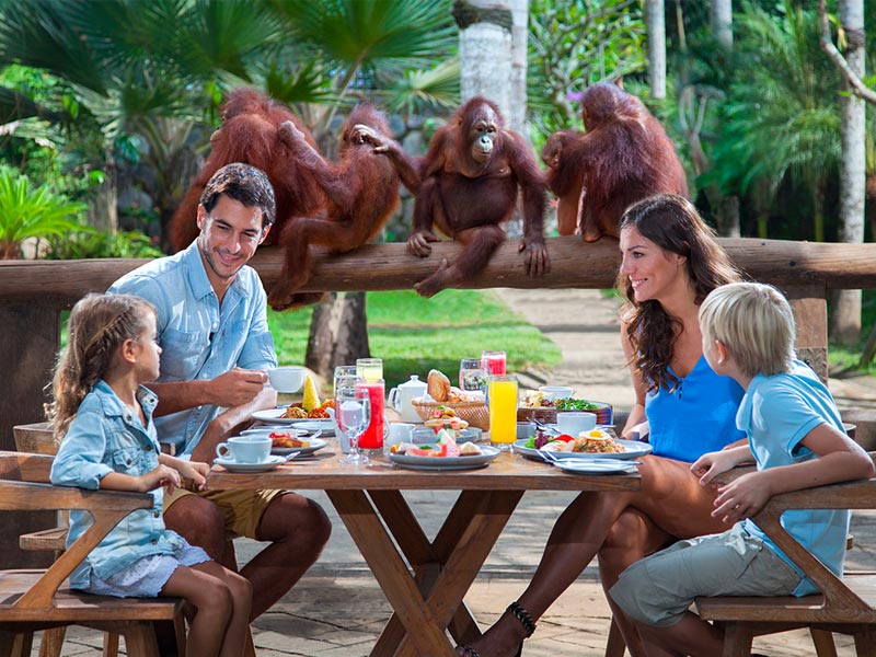 Bali Zoo
