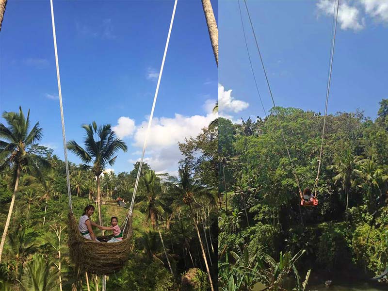 swing1